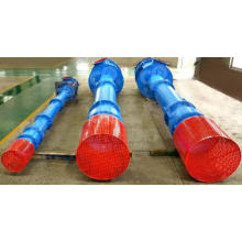 Vertical Multistage Long Shaft Centrifugal Water Pump